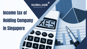 Income of holding company in Singapore