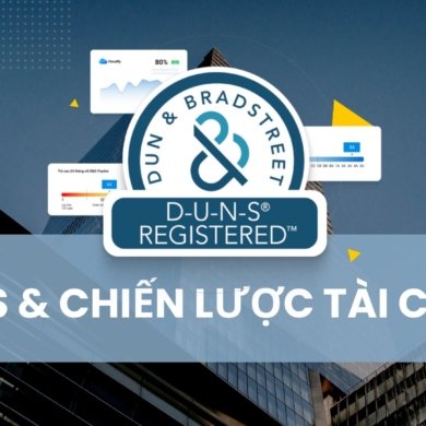DUNS&CHIẾN LƯỢC TÀI CHÍNH SINGAPORE