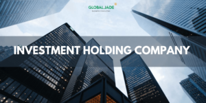 Investment holding comapny