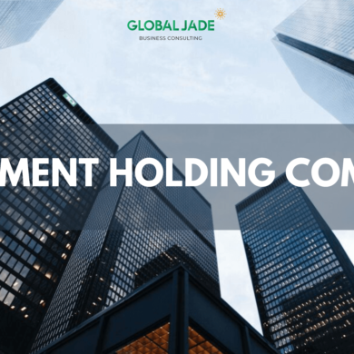 Investment holding comapny
